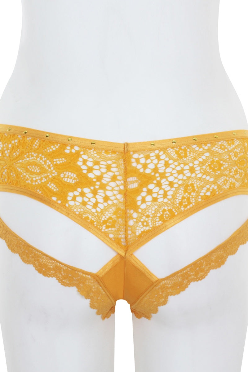 Cut Out Lace Back Hipster product image