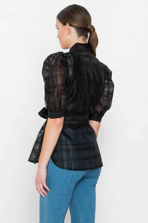 A See-thru Mini Length Organza Top A See-thru Mini Length Organza Top
