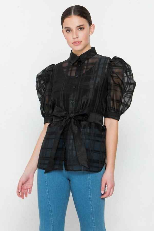 A See-thru Mini Length Organza Top A See-thru Mini Length Organza Top