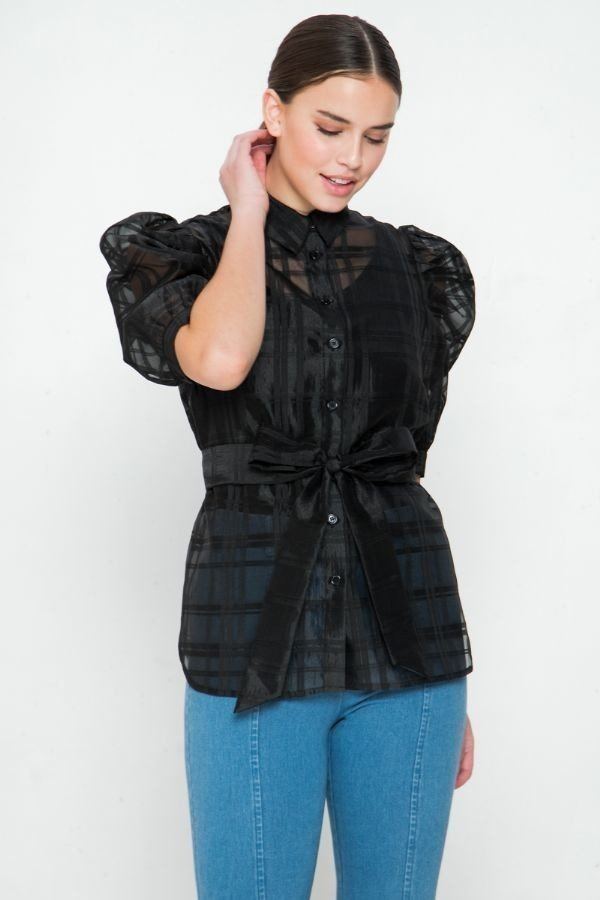 A See-thru Mini Length Organza Top product image