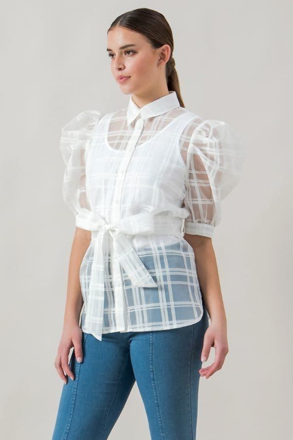 A See-thru Mini Length Organza Top product image