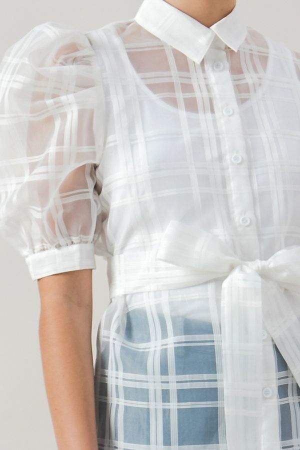 A See-thru Mini Length Organza Top product image