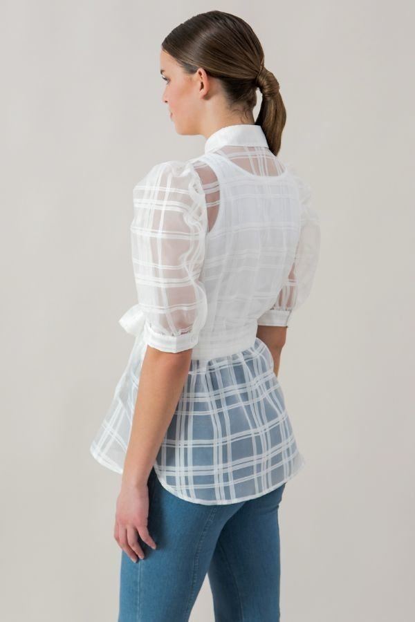 A See-thru Mini Length Organza Top product image