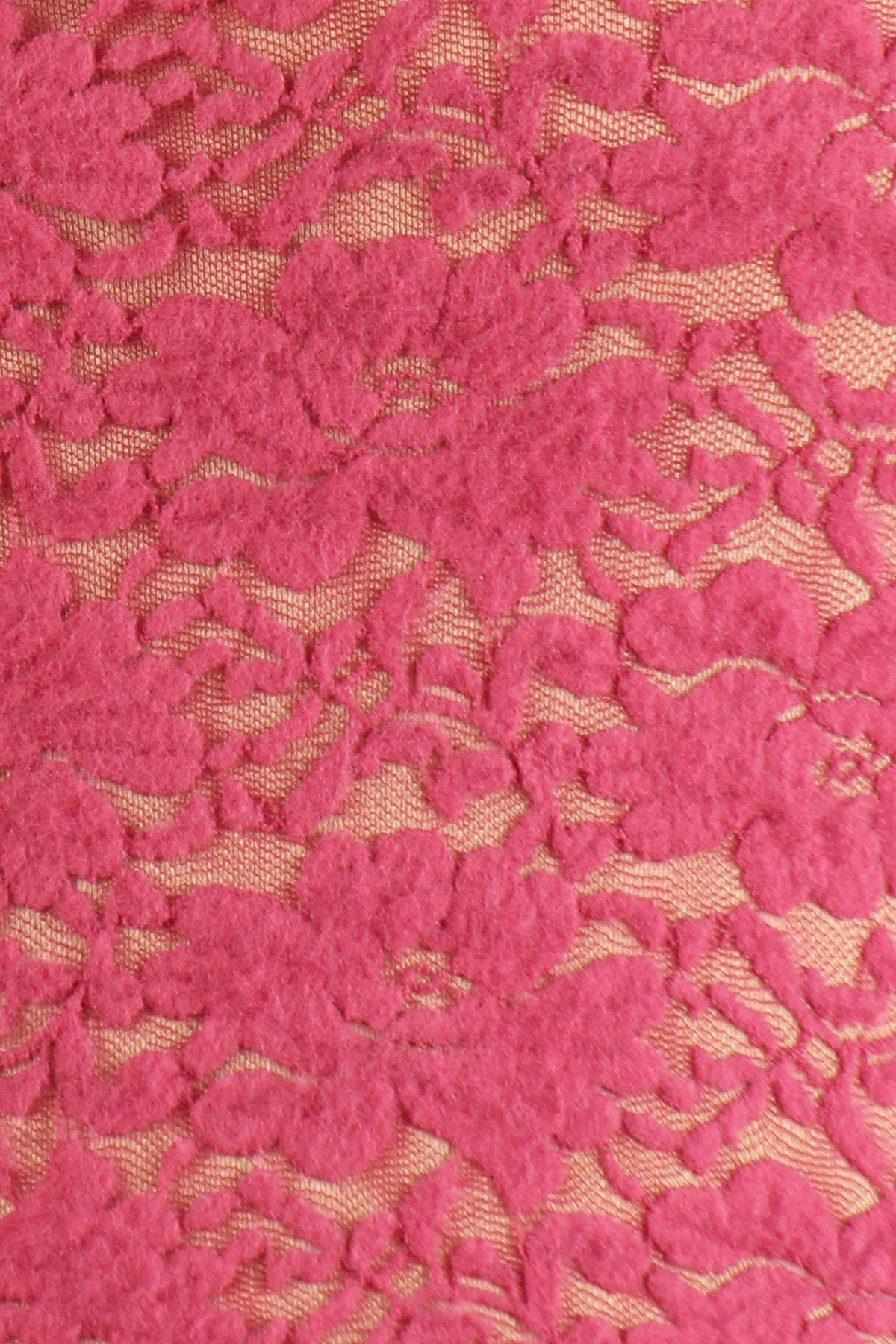 Plus Size Sheer Lace Fitted Top product image