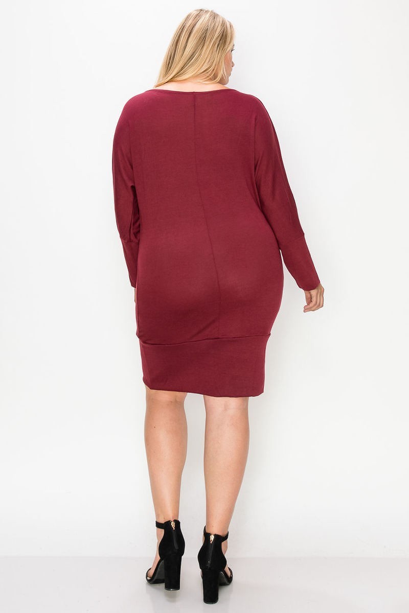 Draped Neck Long Sleeve Dress product image