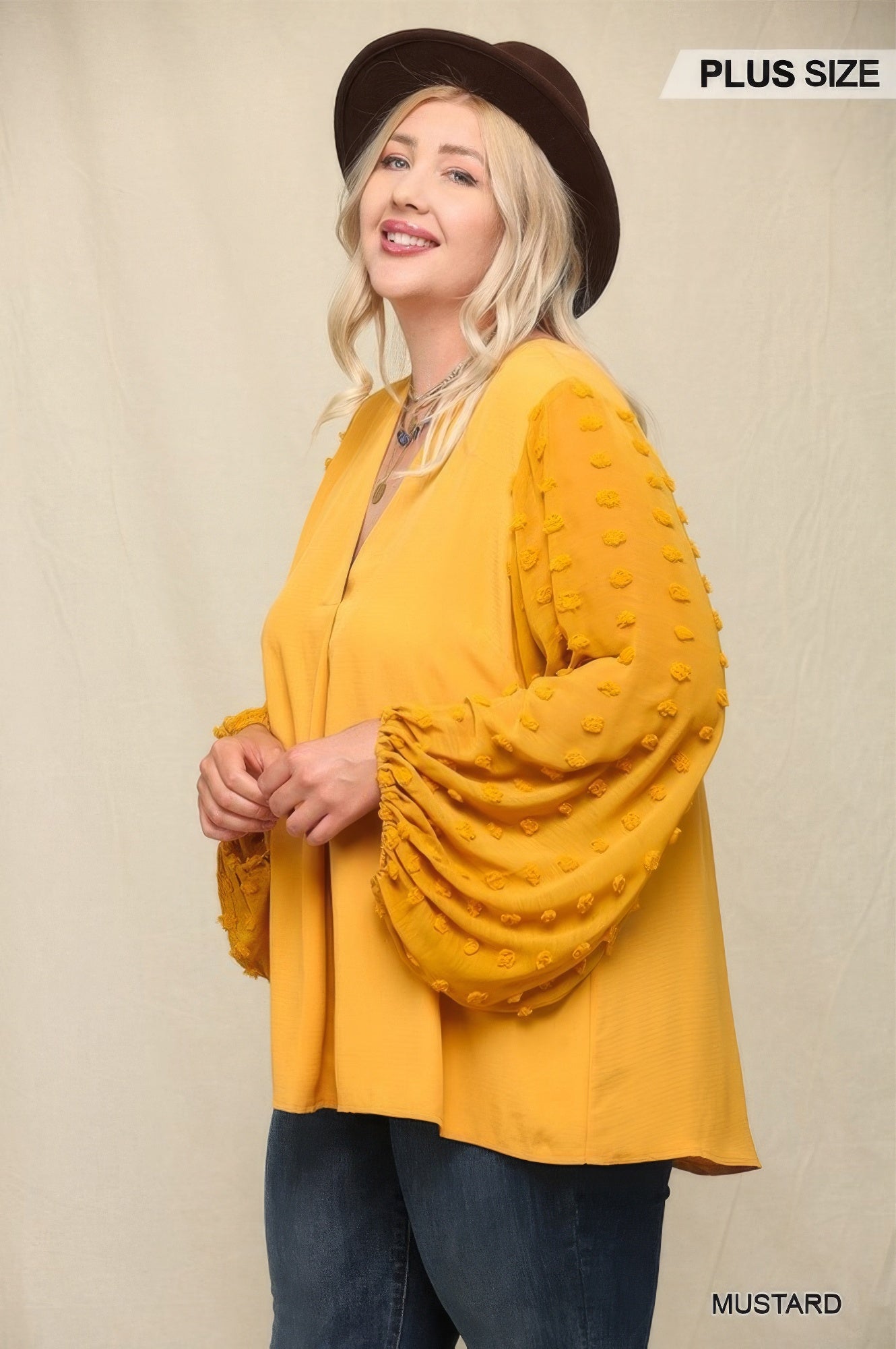 Woven And Textured Chiffon Top With Voluminous Sheer Sleeves product image