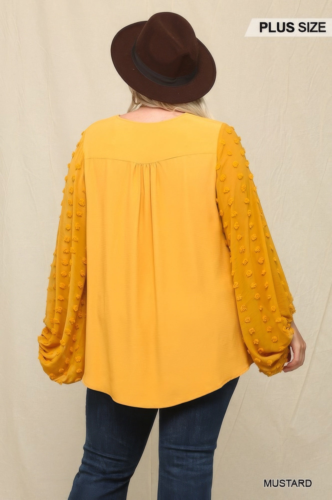 Woven And Textured Chiffon Top With Voluminous Sheer Sleeves product image
