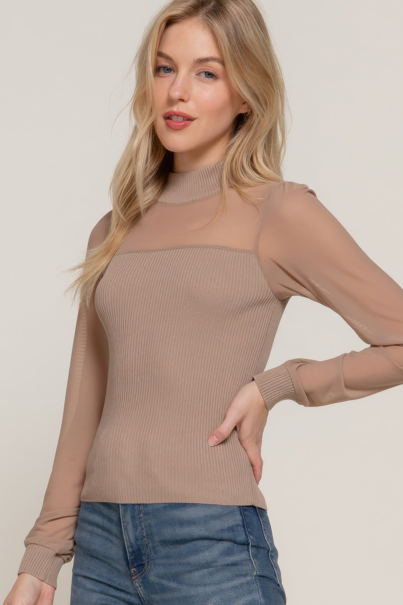 Long Slv Mesh Panel Detail Sweater Top product image