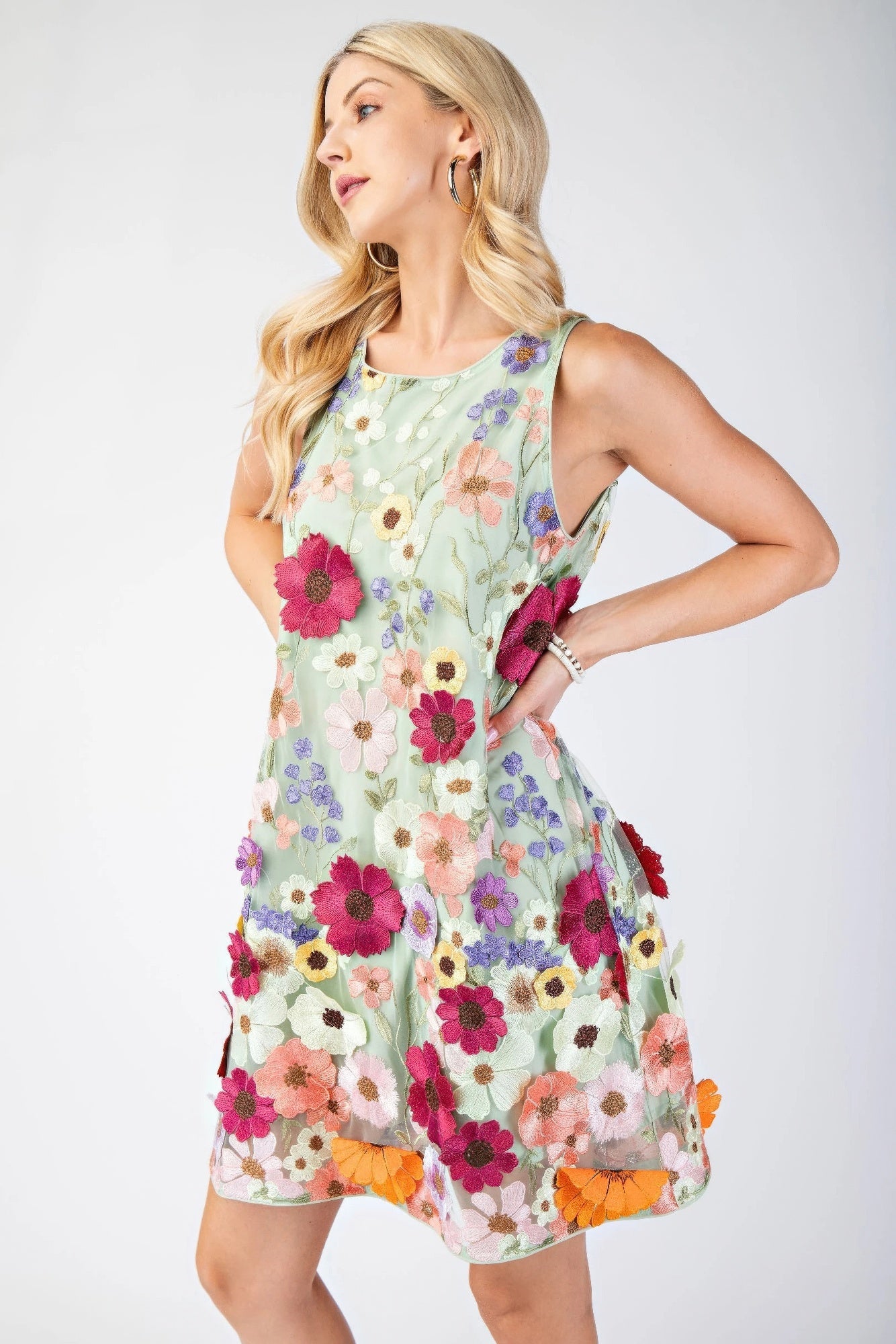 3d Floral Embroidered Sleeveless Mini Dress product image
