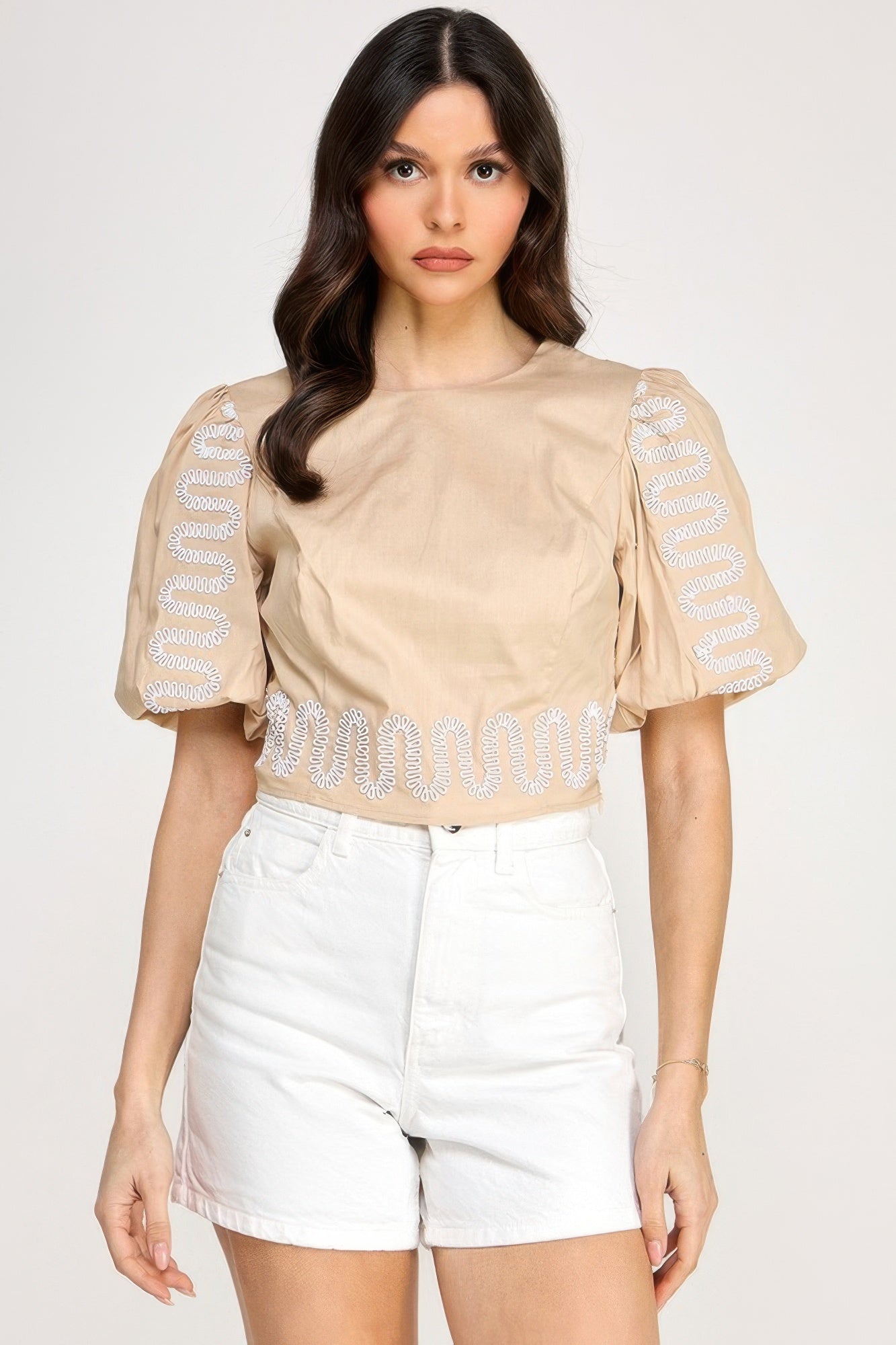 Puff Bubble Sleeve Top With Embroidery Detail product image