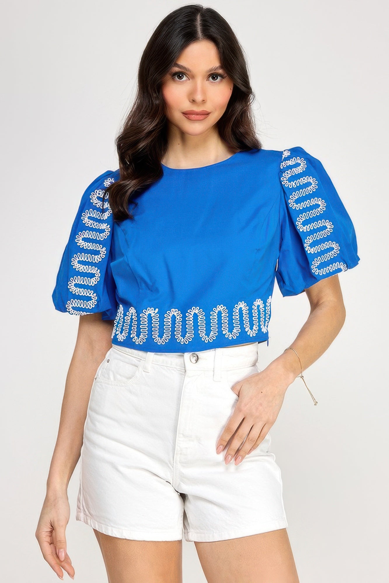 Puff Bubble Sleeve Top With Embroidery Detail product image