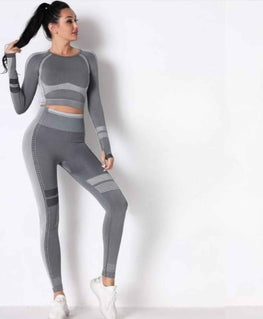 Seamless Long Sleeve Solid Yoga Set