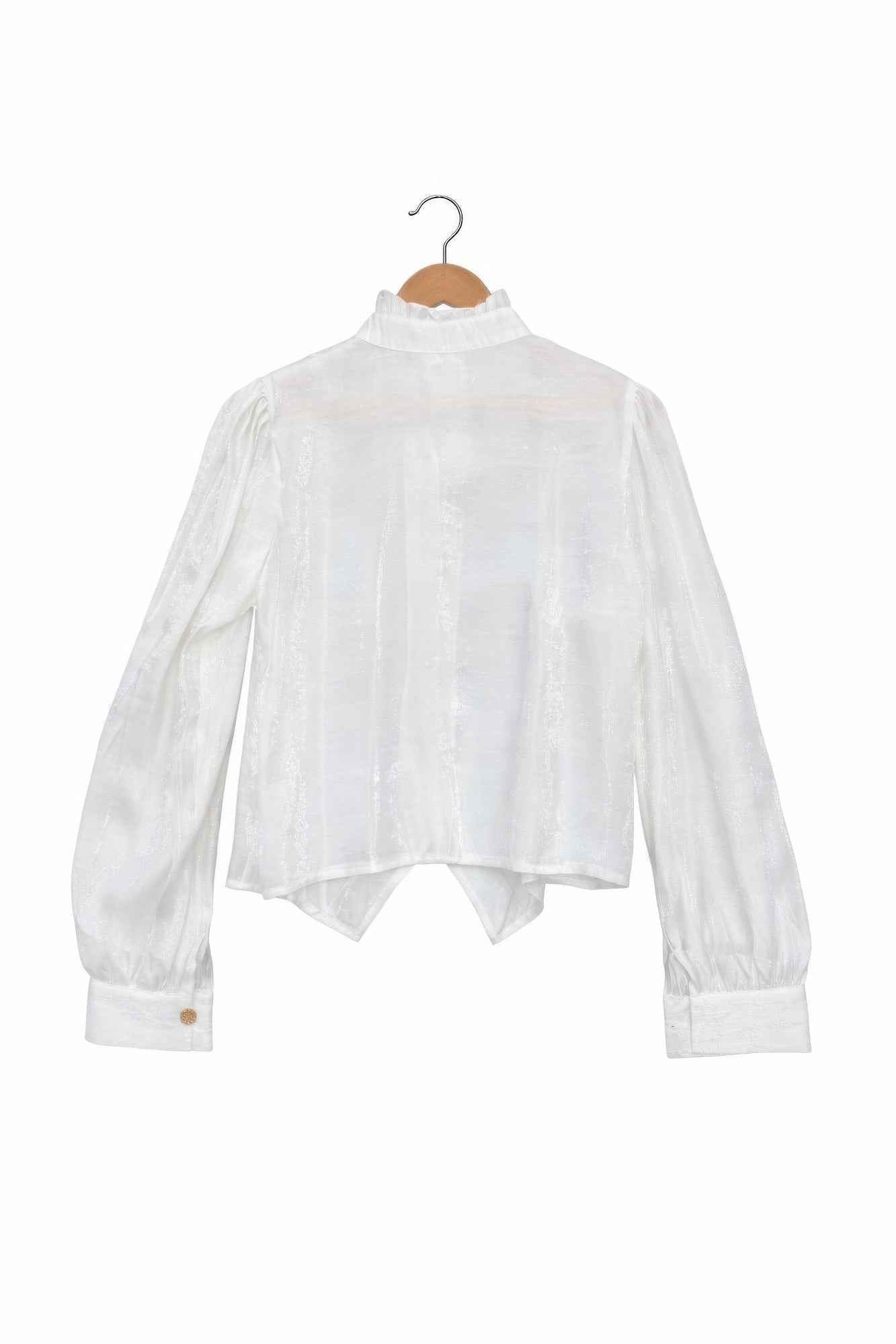 Elegant Satin-finish Victorian Button-up Top Elegant Satin-finish Victorian Button-up Top