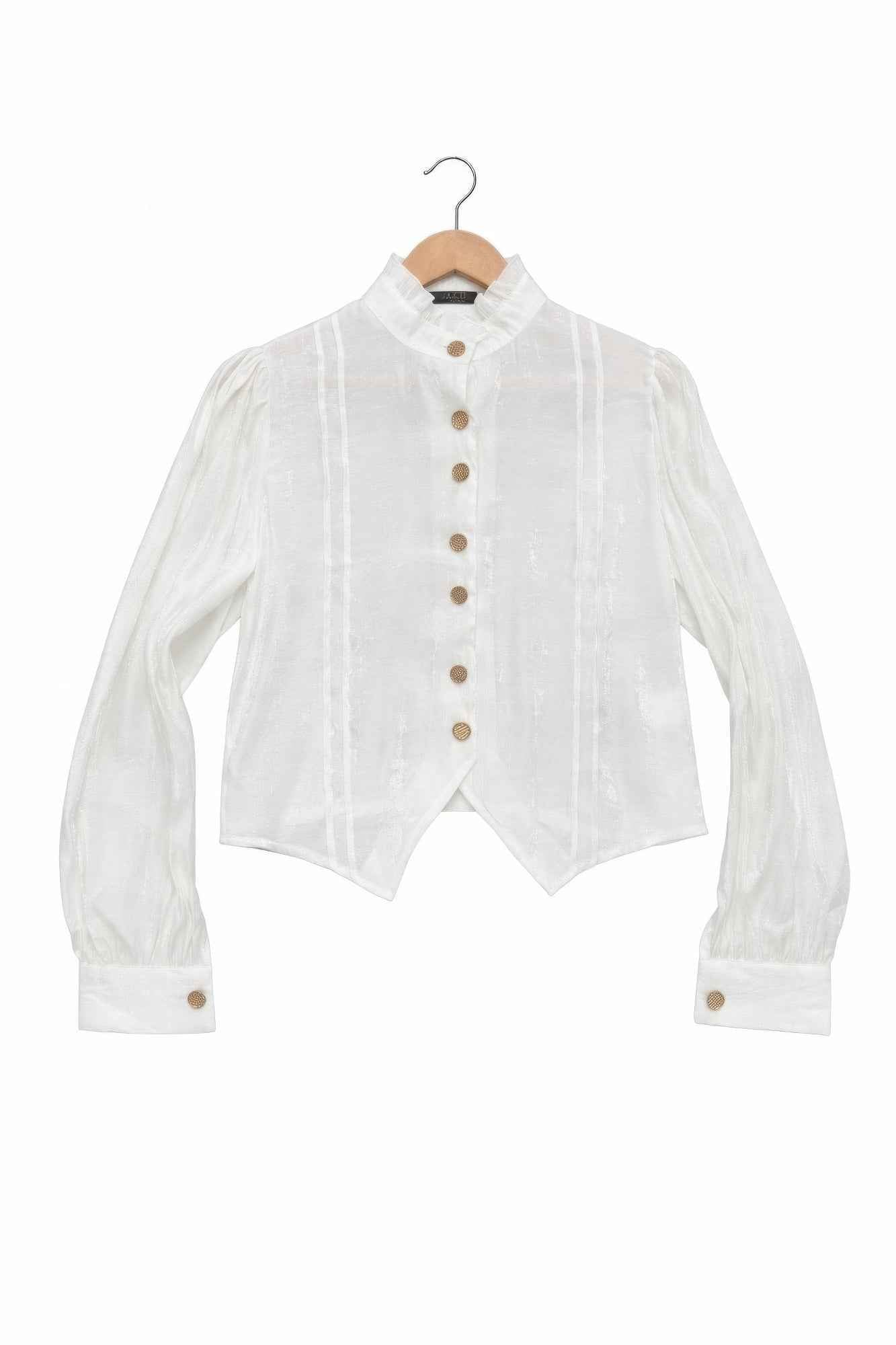 Elegant Satin-finish Victorian Button-up Top Elegant Satin-finish Victorian Button-up Top