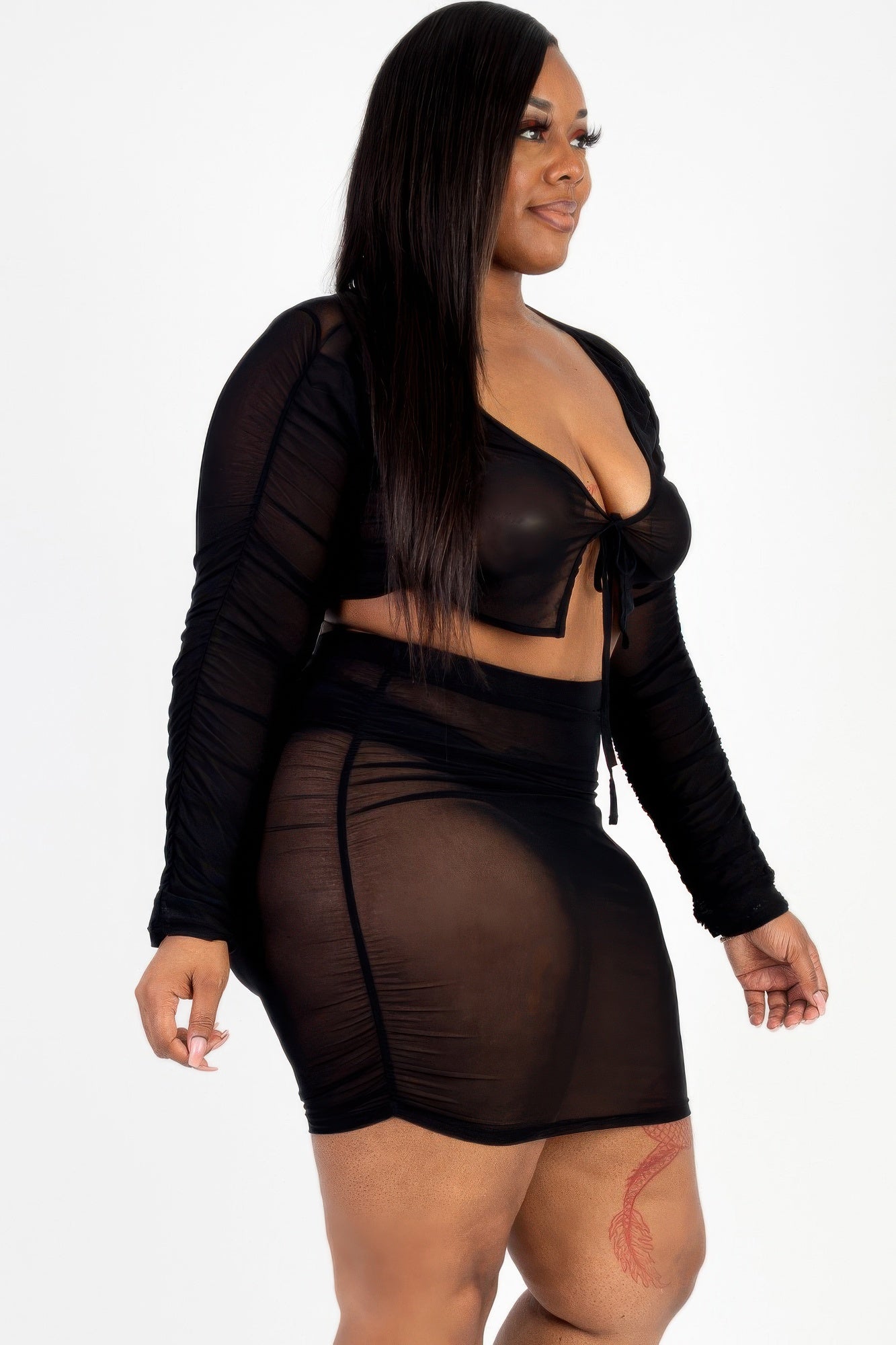 Plus Size Sheer Mesh Tie Front Crop Top & Ruched Side Mini Dress product image