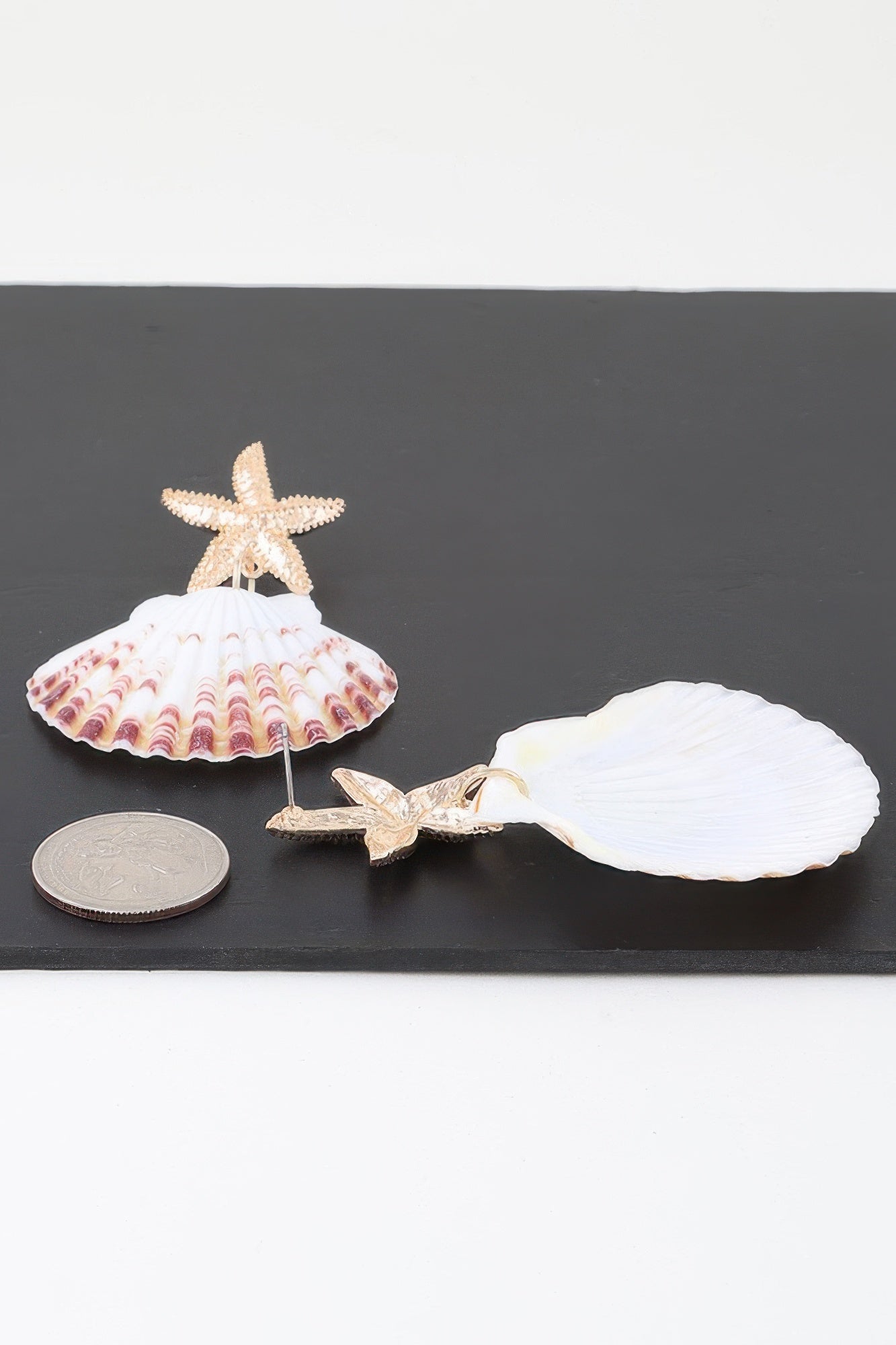 Under The Sea Clam Earrings product image