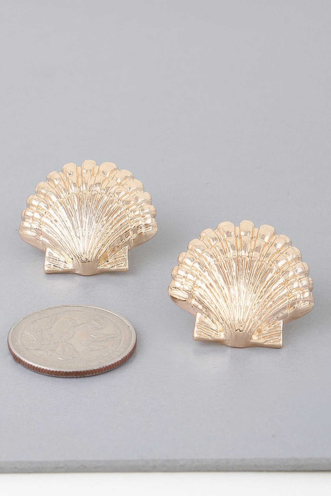 Majestic Clamshell Earrings product image