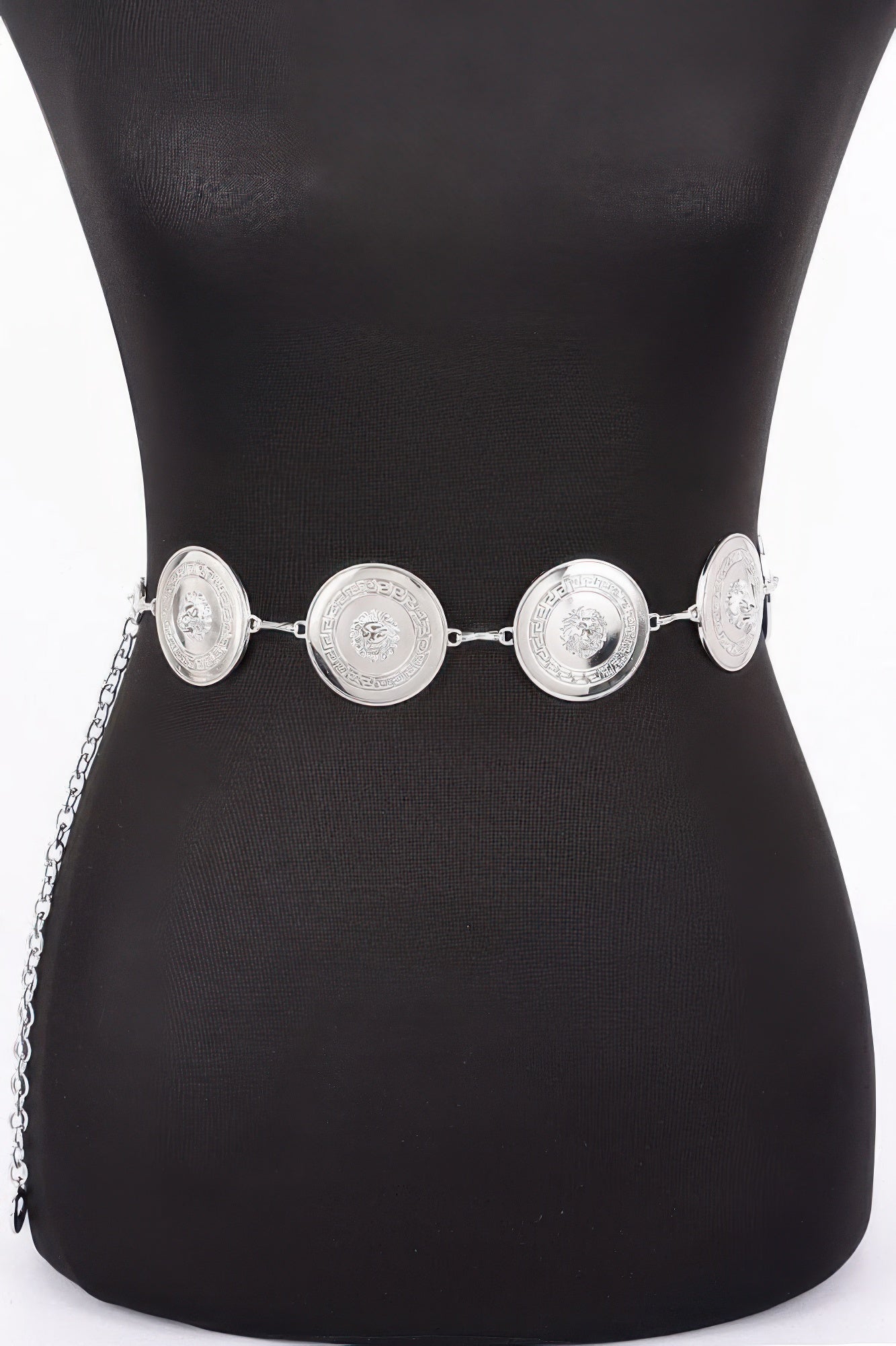 Multi Metal Chain Belt product image