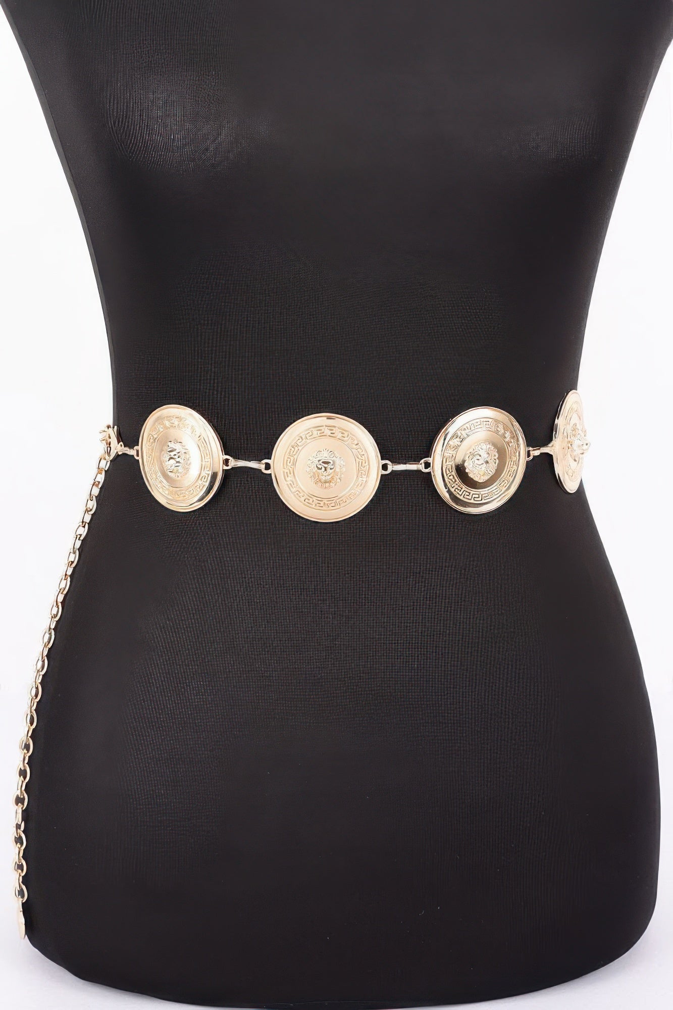 Multi Metal Chain Belt product image