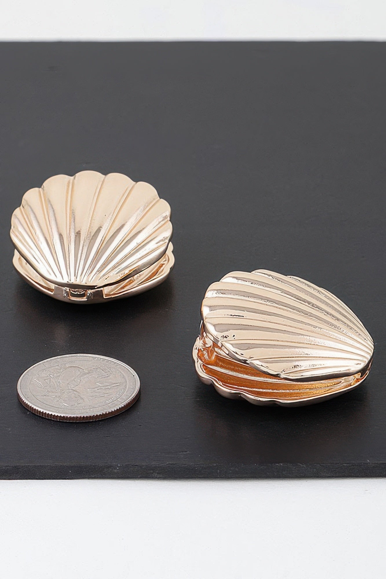 Modern Clam Shell Earrings product image