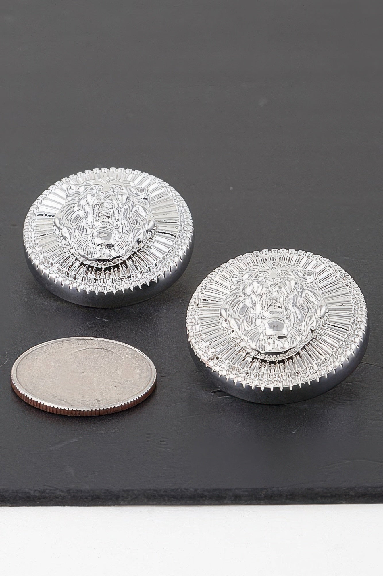 Grand Lion Emblem Earrings product image