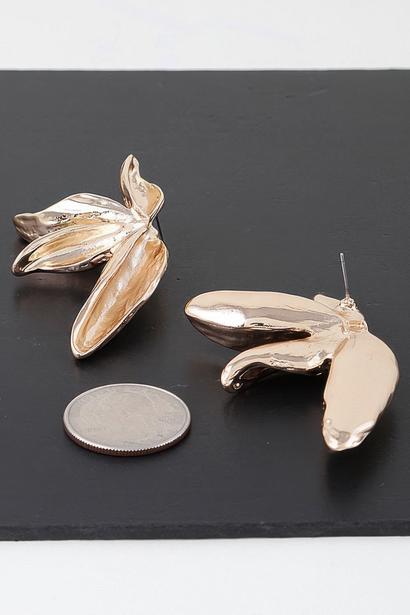 Birds Of Paradise Flower Earrings product image