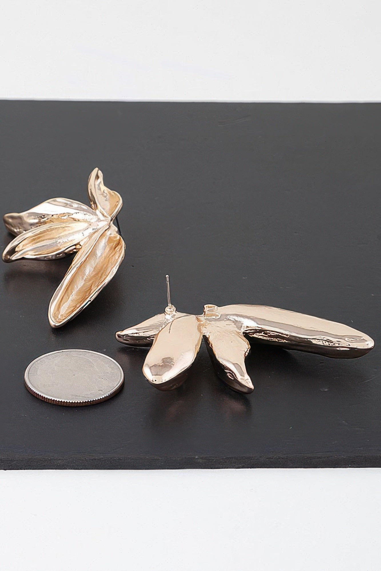 Birds Of Paradise Flower Earrings product image