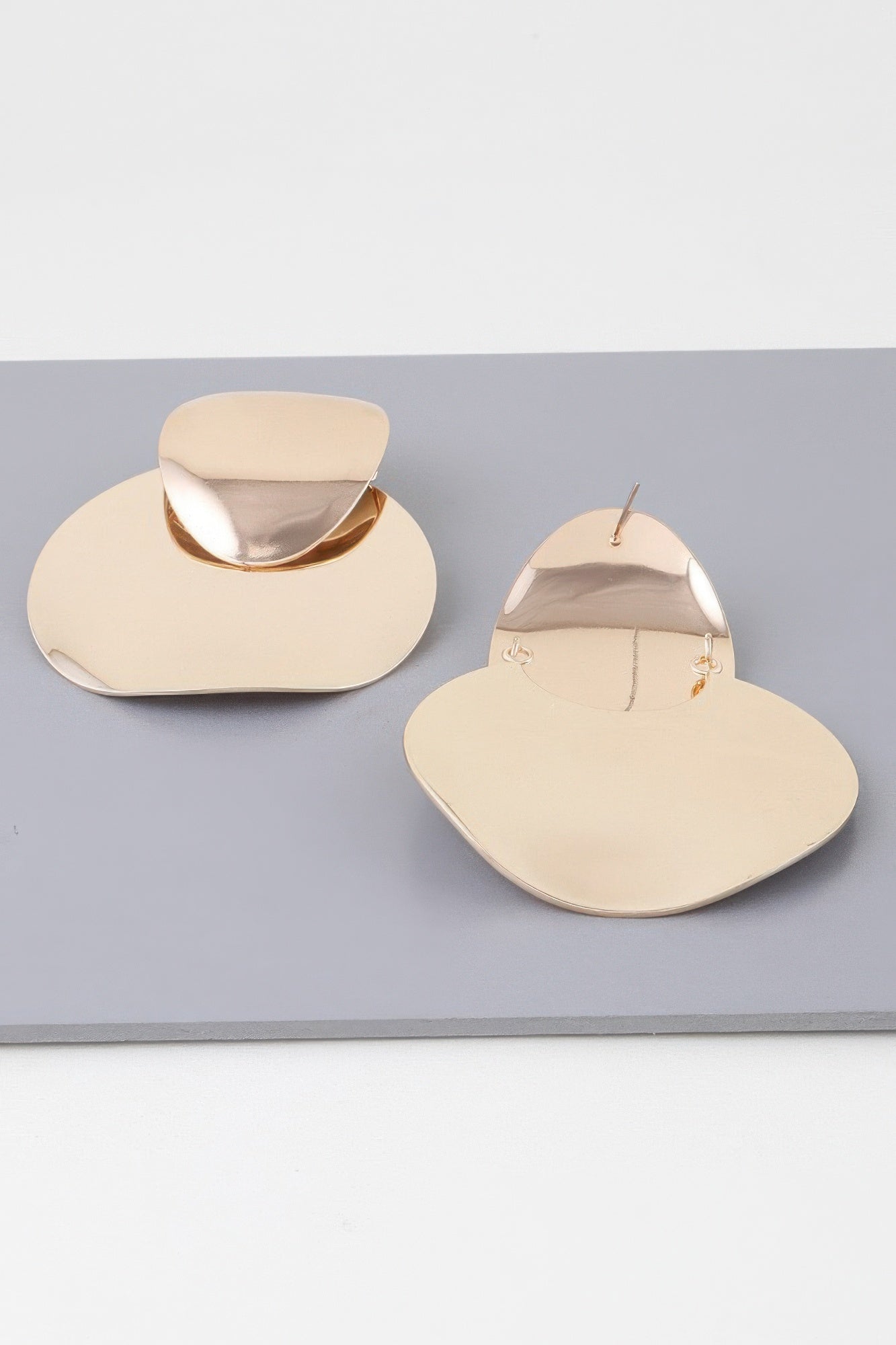 Shiny Modern Disc Earrings product image