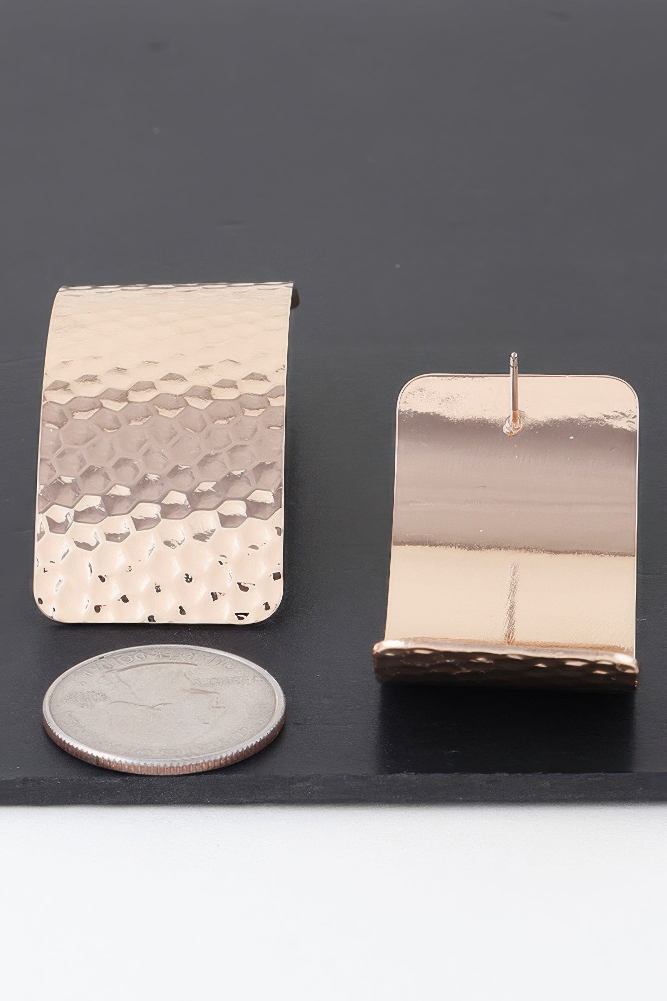 Indented Curved Plate Earrings product image