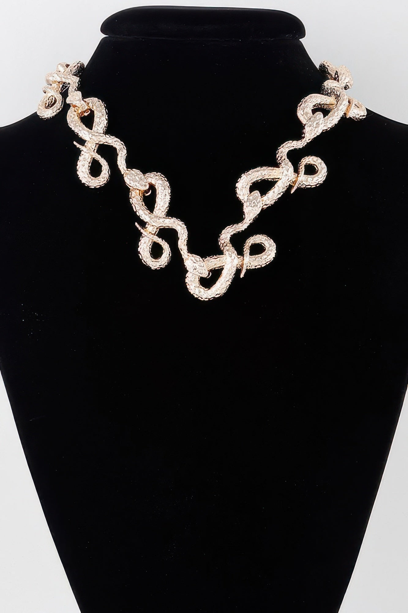 Luxury Snake Loop Necklace product image