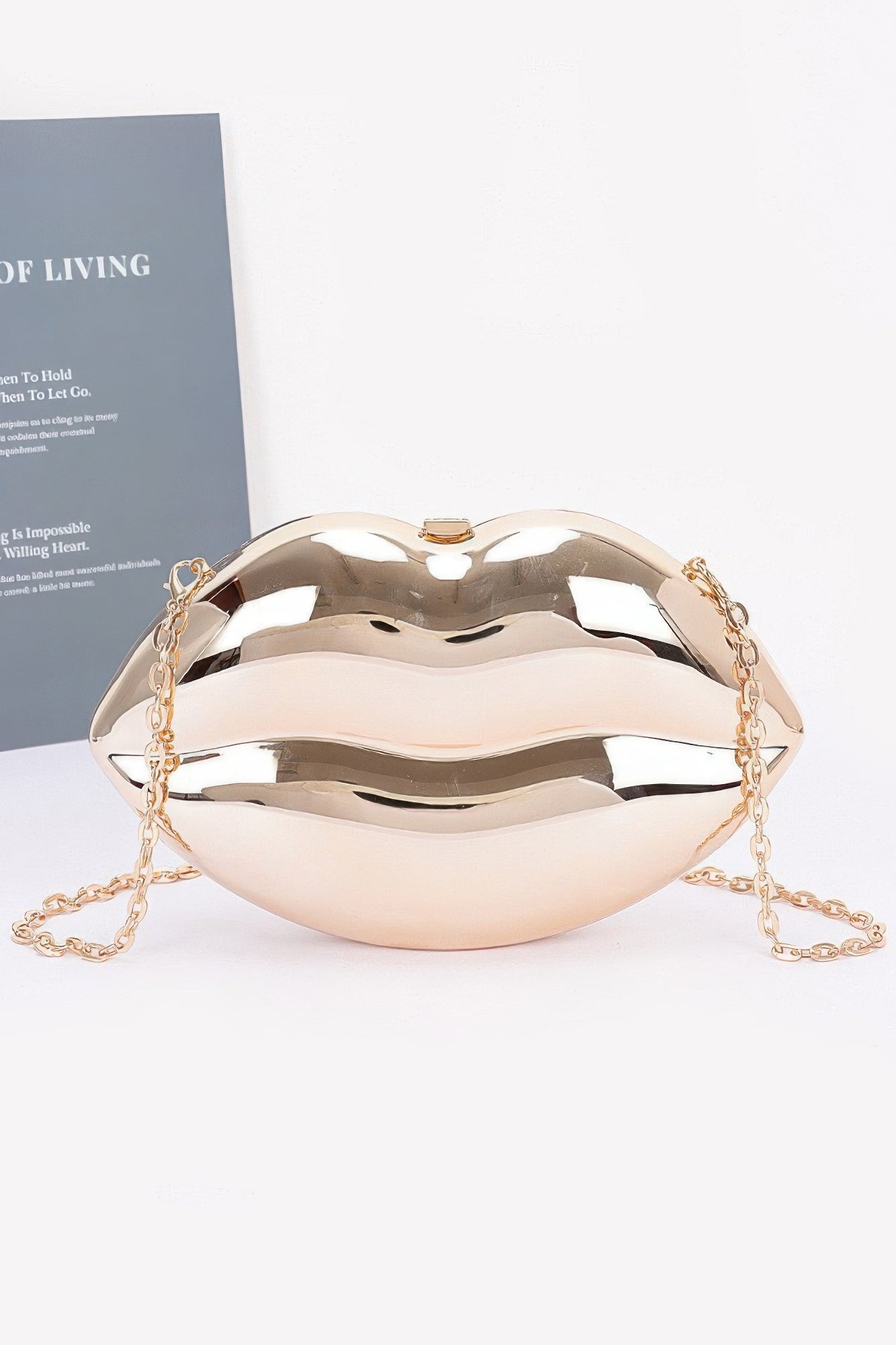 Acrylic Case Bag product image