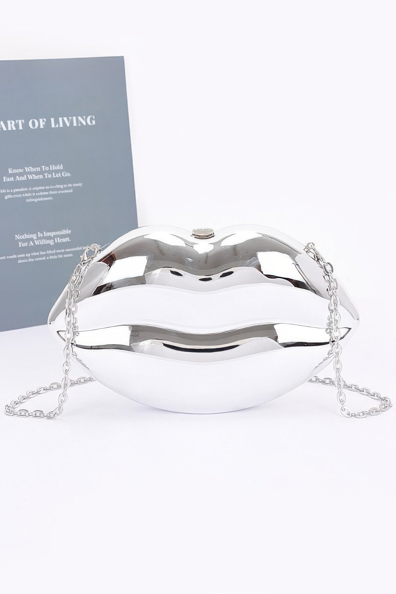 Acrylic Case Bag product image