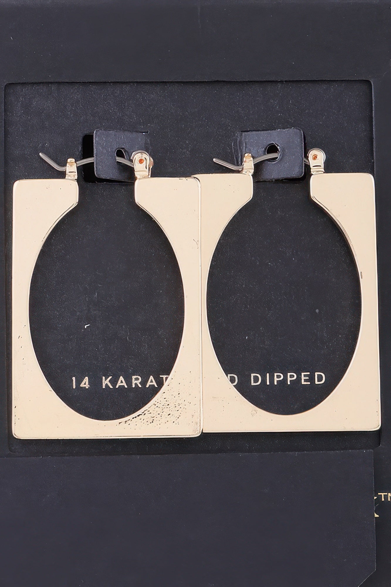 Portrait Frame Cut Earrings product image