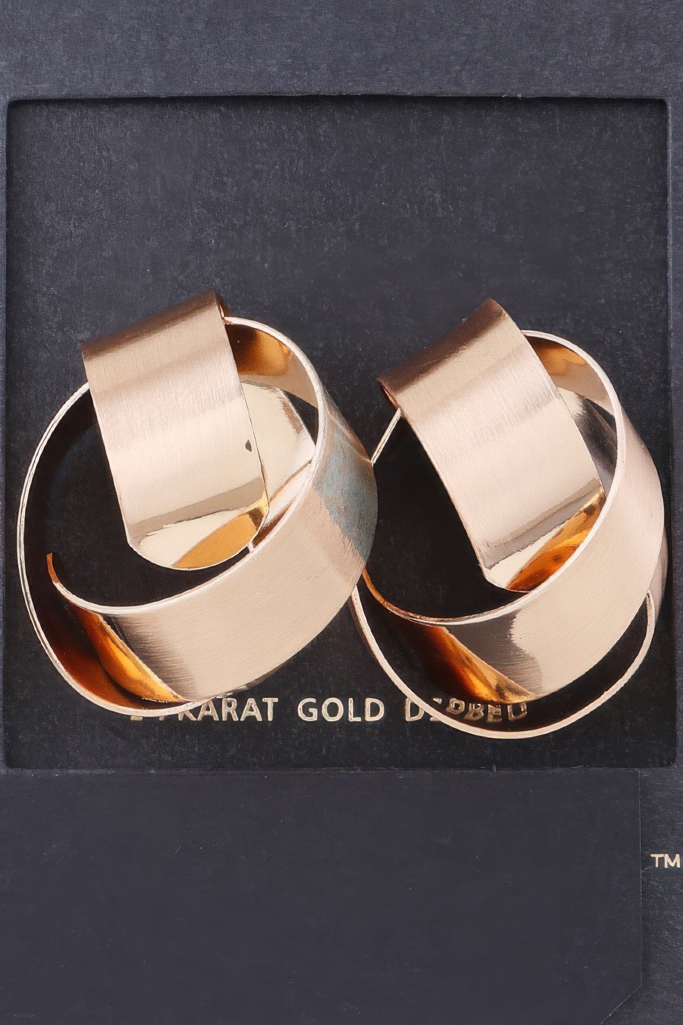 Delicate Shiny Curved Earrings product image