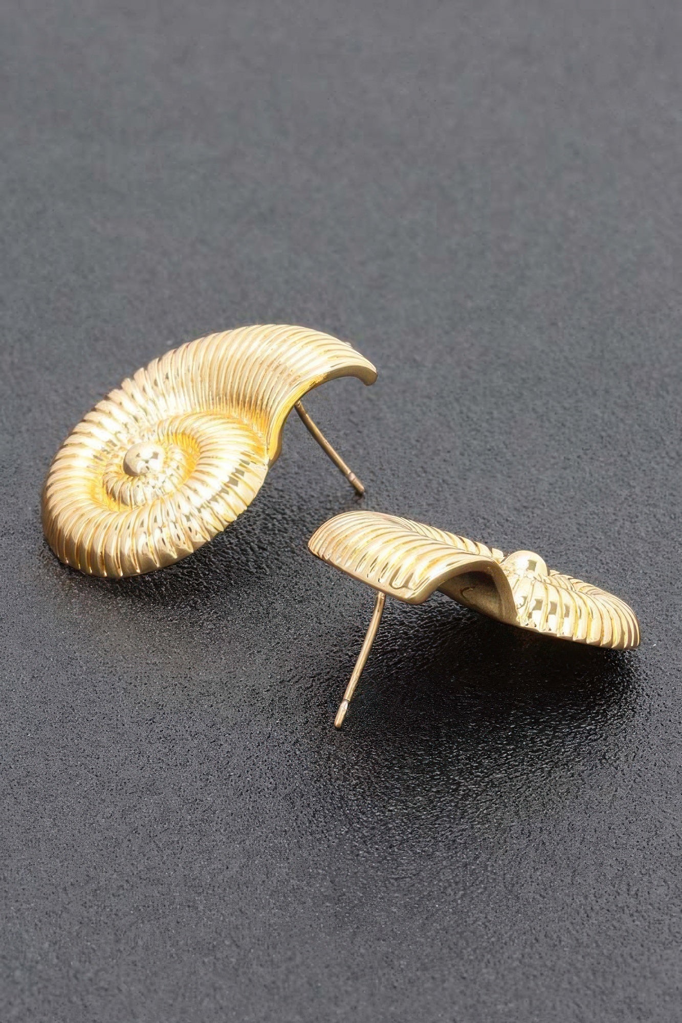 Metal Gold Dip Earring product image