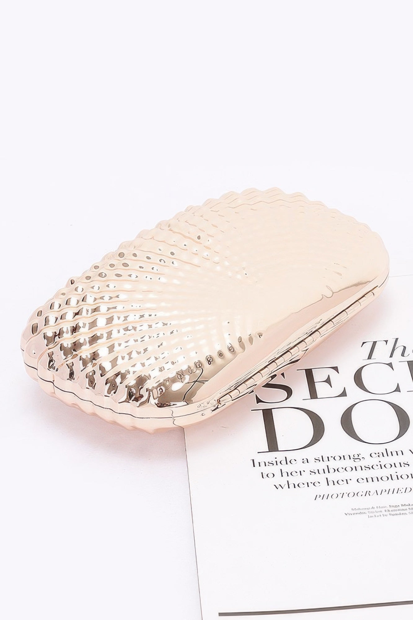 Metal Case Clutch product image