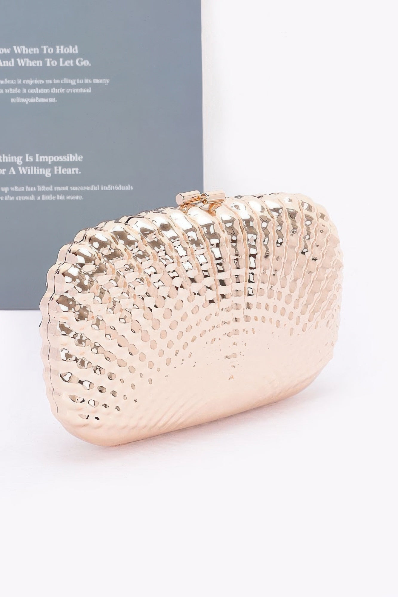 Metal Case Clutch product image