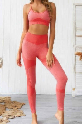 Seamless Activewear Two Piece Set