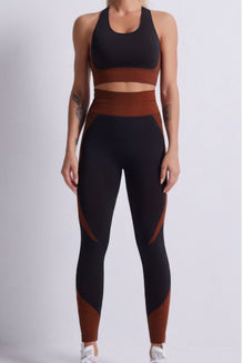 Seamless Color Block Yoga Set